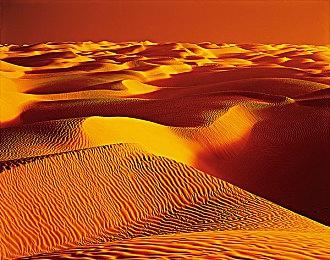 辍学or读书？ 《我16岁辍学做游戏！》3月上线Steam