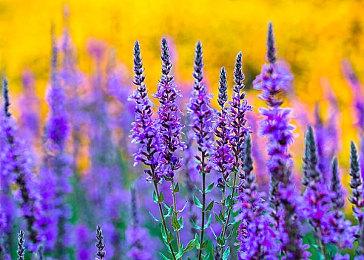 打砖块肉鸽游戏《Ball X Pit》预告片 试玩版登陆Steam