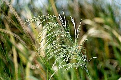 Epic喜加一：《洞窟物语+＆Cave Story+》免费领！